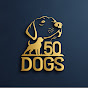 50 DoGs
