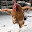 @toriniku00chicken