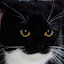 author photo