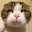 @Yuu-8hl6co5n