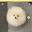 @のあ-r4p