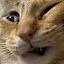 author photo