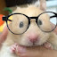 author photo