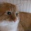 author photo