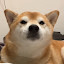 author photo