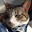 @ねこといぬ_好き