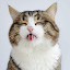 author photo