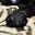 @ワンコロ-r1g