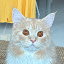 author photo