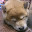 @いぬのしっぽ