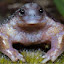 author photo