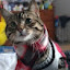 author photo