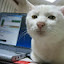 author photo