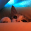 author photo