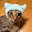 @mimiko33-3