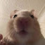 author photo