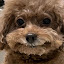 author photo