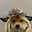 author photo
