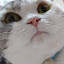 author photo
