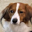 author photo