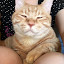 author photo