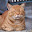 @とらねこ-b3q