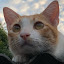 author photo