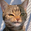 author photo