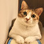 author photo