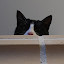 author photo