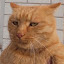 author photo