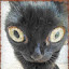 author photo