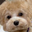 author photo