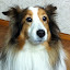 author photo