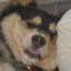 author photo