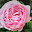 @こころ-e3f
