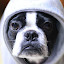 author photo