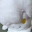@tom1850-tmk