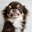 author photo