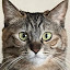 author photo