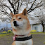 author photo