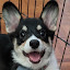 author photo