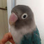 author photo