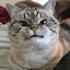 author photo