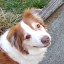 author photo