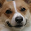 author photo