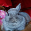 author photo