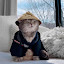 author photo