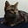 @ウォズ-q8g