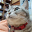 author photo